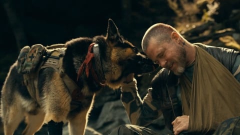 Heart of the Beast vous a-t-il dévasté ? Voici 5 films sur les chiens qui vous feront encore plus mal