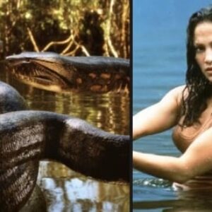 Il mesurait 12 mètres de long et pesait plus d'une tonne : le serpent Anaconda n'était pas en CGI