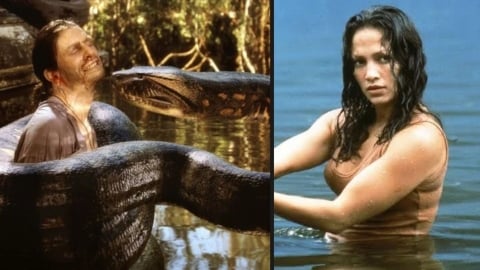 Il mesurait 12 mètres de long et pesait plus d'une tonne : le serpent Anaconda n'était pas en CGI